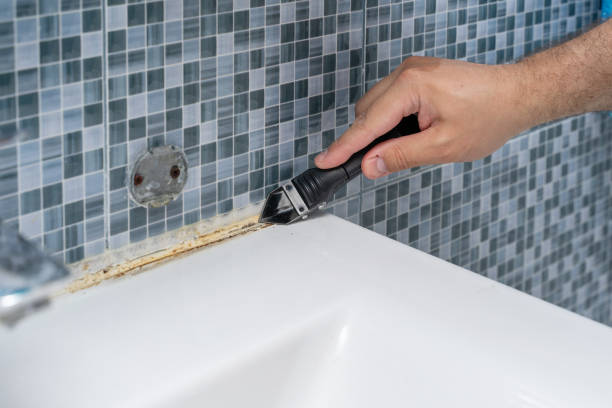 Best Toxic Mold Removal  in Westminster, SC